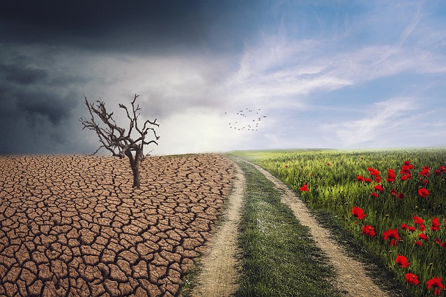 World Environmental Health Day