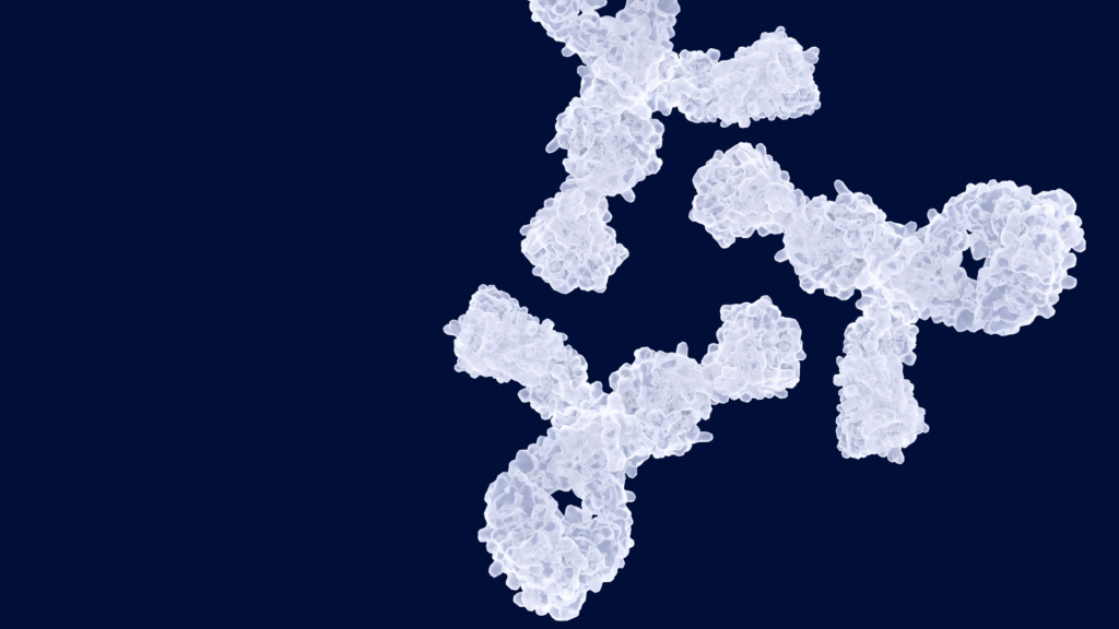 Antibodies