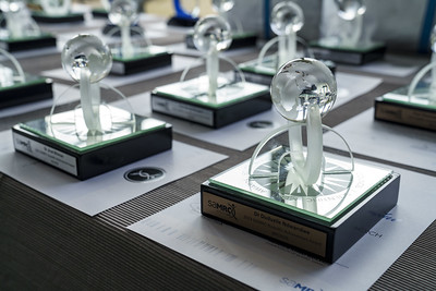 Merit awards