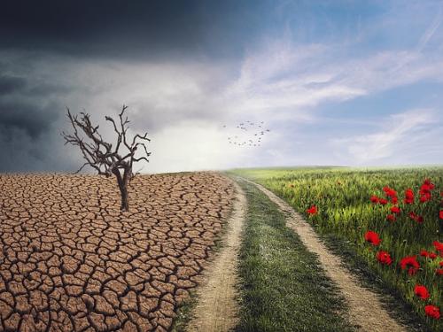 World Environmental Health Day